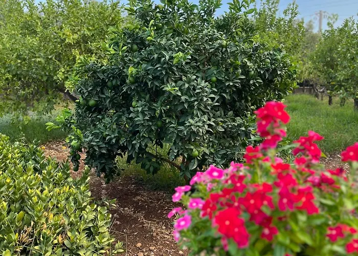 Eraklea * Lido di Noto